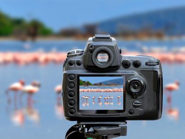 dijital fotoğraf makinesi
