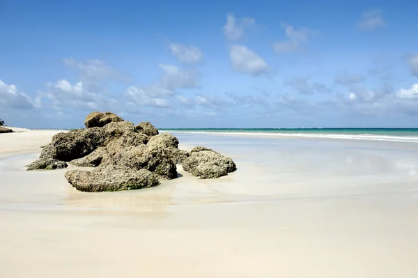 Plażę i ocean — Zdjęcie stockowe