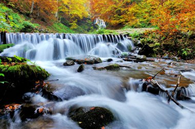 sonbahar orman şelale