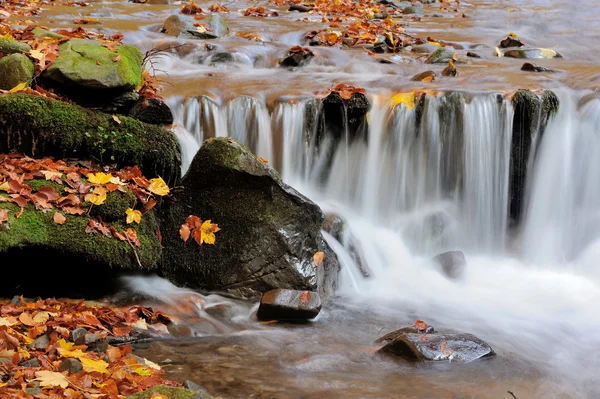 Herbstlicher Waldwasserfall — Stockfoto