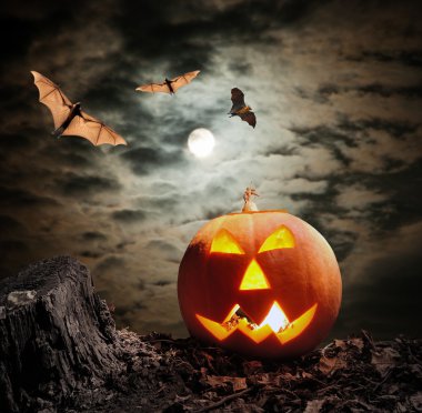 Cadılar Bayramı Balkabağı