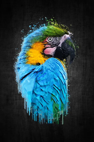 Parrot vogel (ernstige ARA). Geverfd effect — Stockfoto