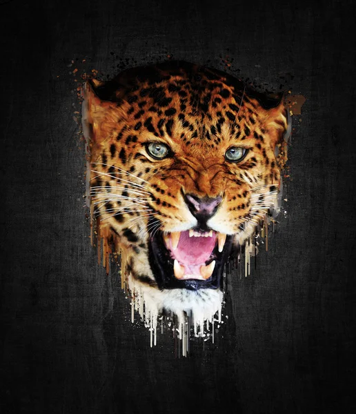 Leopard. Farbeffekt — Stockfoto