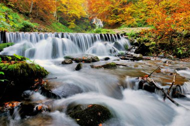 sonbahar orman şelale