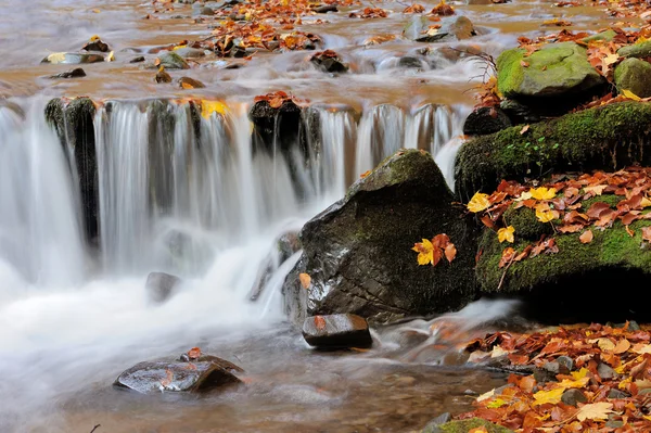 Herbstlicher Waldwasserfall — Stockfoto