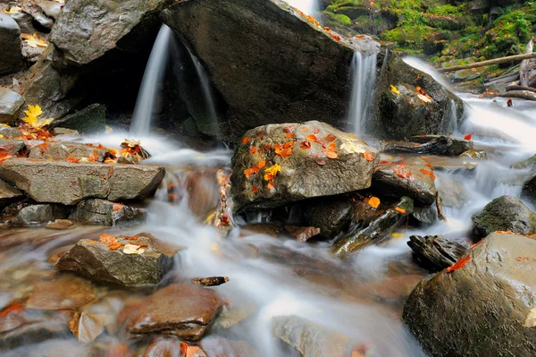 Sonbahar orman şelale — Stok fotoğraf