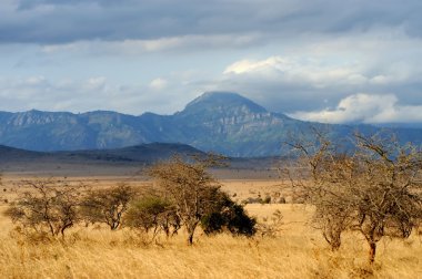 Manzara Tsavo Milli Parkı, Kenya