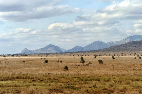 Paisagem no Parque Nacional Tsavo, Quênia — Fotografia de Stock