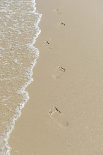 沙地上的脚印 — 图库照片