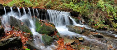 Sonbahar ormanındaki dağ nehri