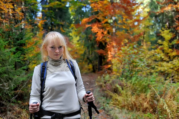 Hiker trekking in autumn forest and mountains — Stock Photo, Image