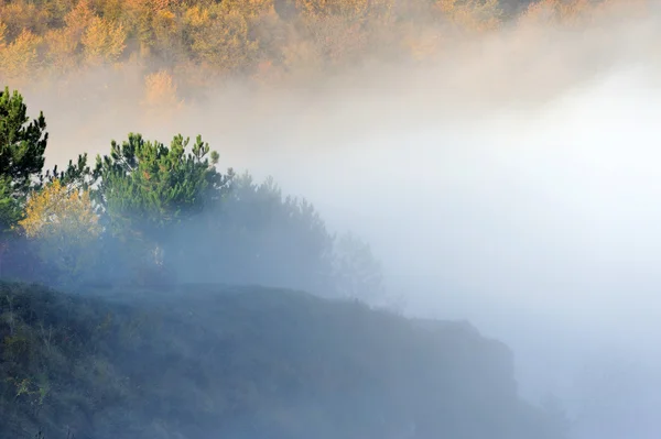 Hill in the sunrise misty fog and clouds — Stock Photo, Image