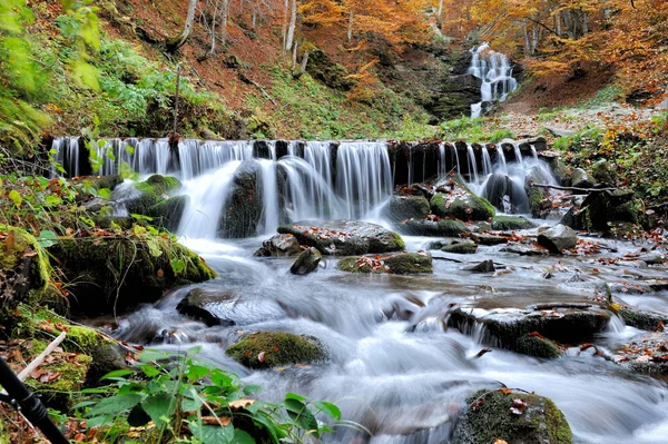 Fiume di montagna nella foresta autunnale — Foto Stock