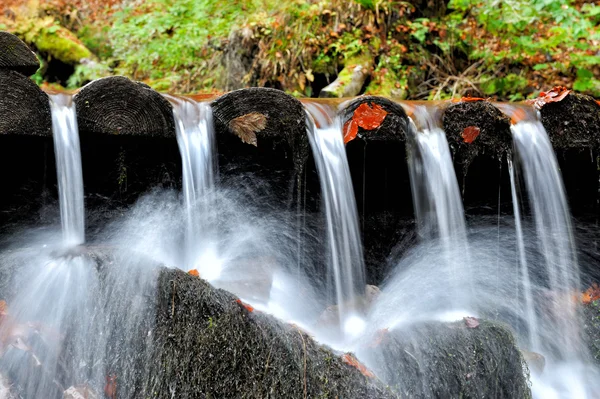 Gebirgsfluss im Herbstwald — Stockfoto