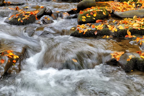 Gebirgsfluss im Herbstwald — Stockfoto