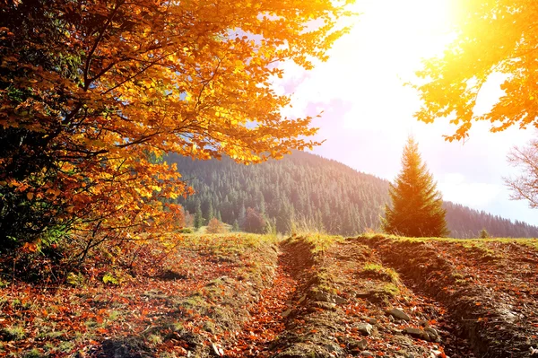 Paesaggio autunnale con strada — Foto Stock