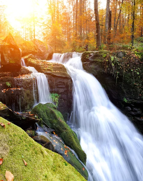 Mountain river in the autumn forest — Stock Photo, Image