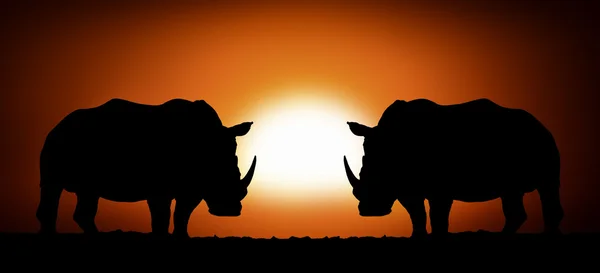 Nosorožec na slunce pozadí — Stock fotografie