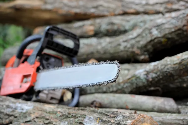 Chainsaw and tree — Stock Photo, Image