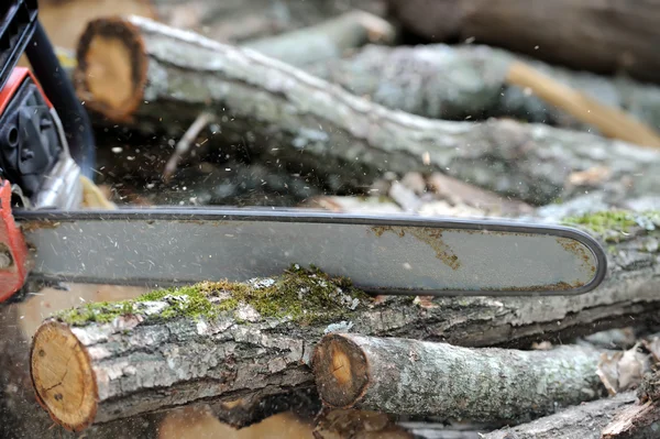 Chainsaw en boom — Stockfoto