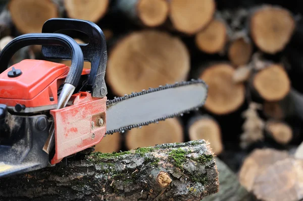 Chainsaw and tree — Stock Photo, Image