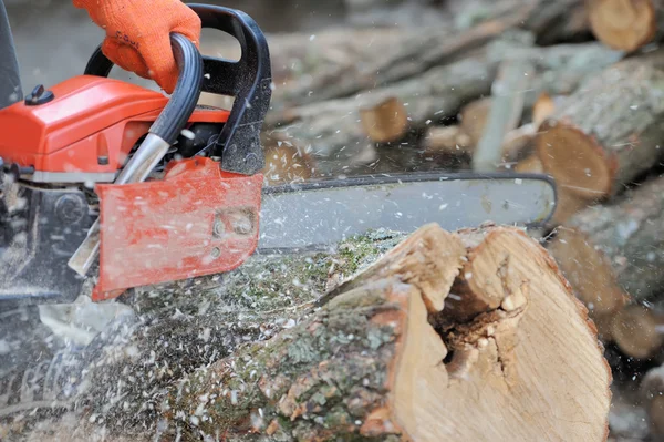 Chainsaw en boom — Stockfoto