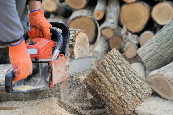 Motosega e albero — Foto Stock