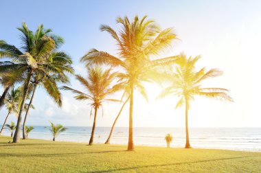palm Beach üzerinde
