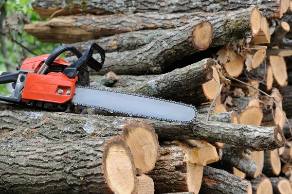 Chainsaw en boom — Stockfoto