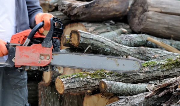 Chainsaw en boom — Stockfoto