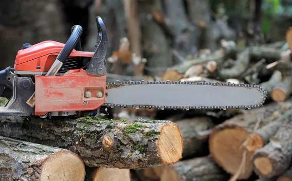 Chainsaw en boom — Stockfoto