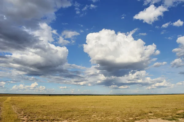 Dramatic cloud and the vast grassland — Stock Photo, Image