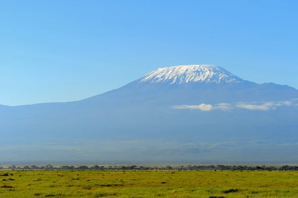 Salju di atas Gunung Kilimanjaro — Stok Foto