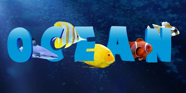 Word OCEAN with many tropical fish — Stock Photo, Image