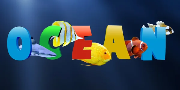 Word OCEAN with many tropical fish — Stock Photo, Image