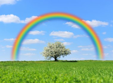 Ağaç ve rainbow ile yeşil alan