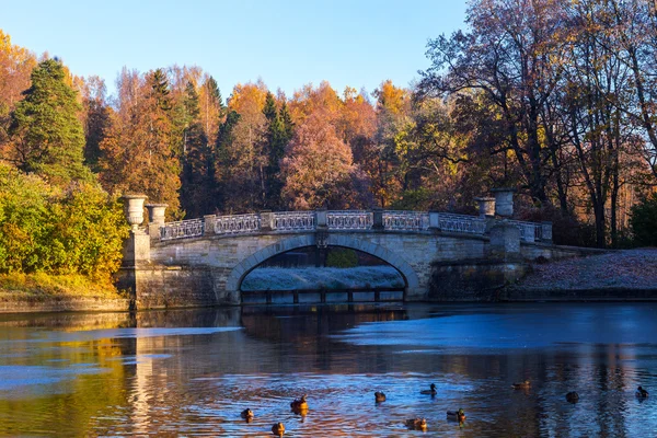 Autumn sunset in park