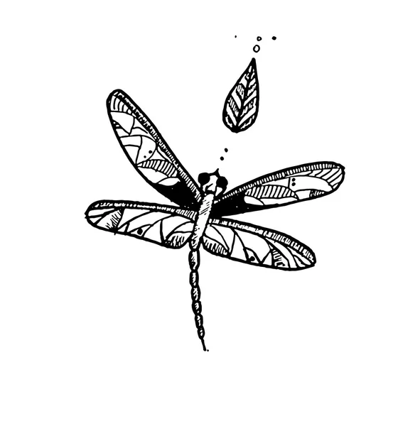 Dragonfly bläck doodle. — Stock vektor