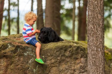 çocuk ve köpek, küçük çocuk ormanın ortasında siyah bir hovie ile bir kayanın üzerinde dinleniyor.