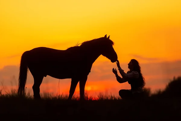 Silhueta Uma Mulher Sentada Chão Conversando Com Cavalo — Fotografia de Stock