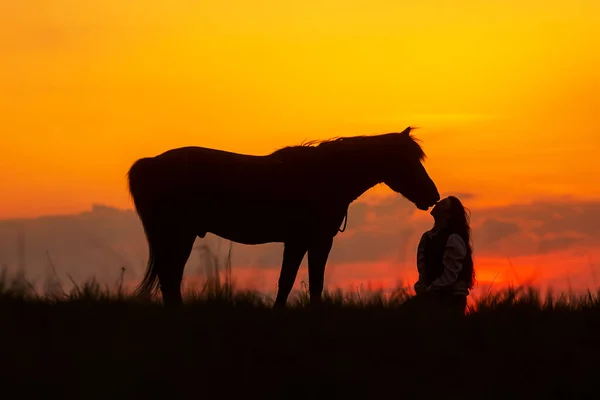 Silhouette Einer Frau Und Eines Pferdes Sanfter Berührung — Stockfoto