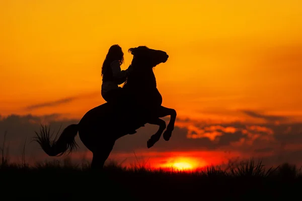 Sylwetka Kobiety Koniu Chowającym Się Przed Zachodem Słońca — Zdjęcie stockowe