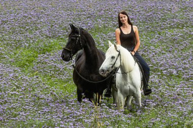 Kırsalda iki siyah beyaz atı olan güzel bir kadın.
