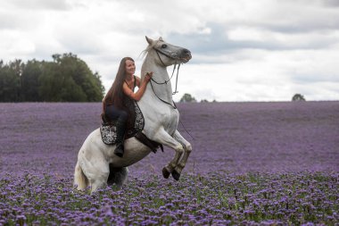 Beyaz bir atın üzerinde oturan güzel bir kadın
