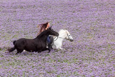 Uzun saçlı genç bir kadın beyaz bir ata biniyor ve Frizyalı bir midilli onunla koşuyor.