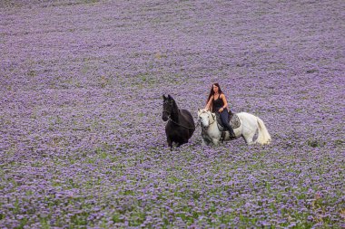 Uzun saçlı genç bir kadın beyaz bir ata biniyor ve Frizyalı bir midilli onunla koşuyor.
