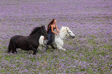 Uzun saçlı genç bir kadın beyaz bir ata biniyor ve Frizyalı bir midilli onunla koşuyor.