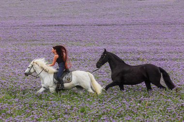 Uzun saçlı genç bir kadın beyaz bir ata biniyor ve Frizyalı bir midilli onunla koşuyor.