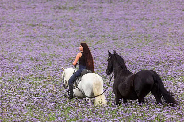 Young Woman Long Flowing Hair Rides White Horse Friesian Pony — Stock Photo, Image