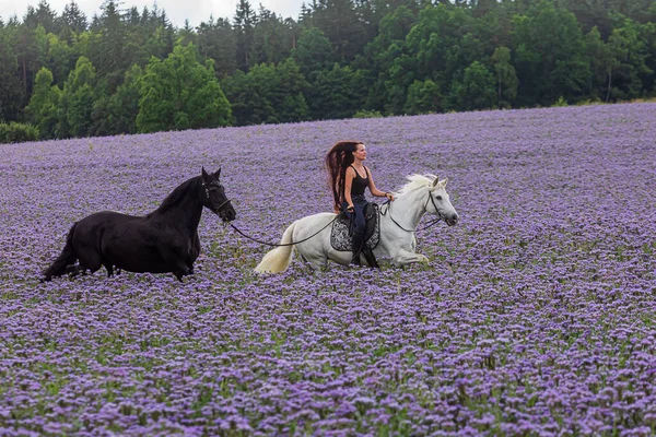 Young Woman Long Flowing Hair Rides White Horse Friesian Pony — Stock Photo, Image